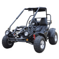 Off Road Gas/Benzin 150cc 2 Sitz-Düne-Buggy